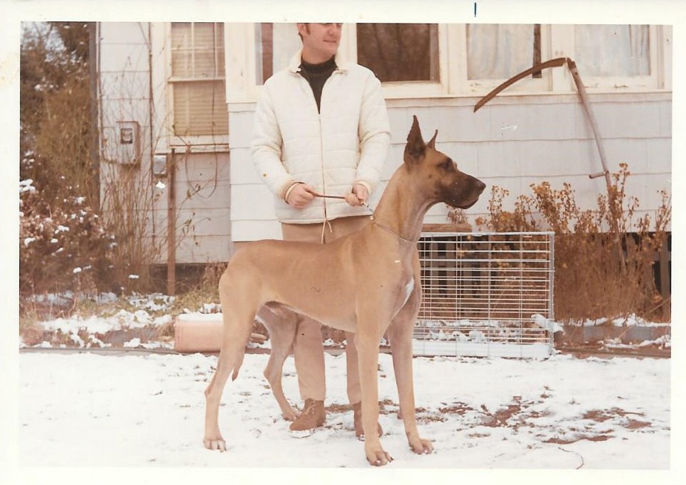 Bantry-Hazeldane Mr Lucky 2yrs